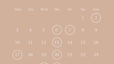 11月の営業スケジュール